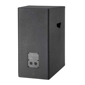 Altoparlante Professionale Full-Range da 12 Pollici con Driver per Teatri, Auditorium e Stadi Sportivi - Product Image 3