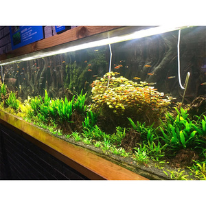 Grand aquarium en acrylique écologique et durable à haute transmission de la lumière Grand aquarium en acrylique pour aquarium - Product Image 2