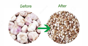 Hot bán tự động tỏi tách giá máy tỏi Đinh Hương phá vỡ máy - Product Image 4