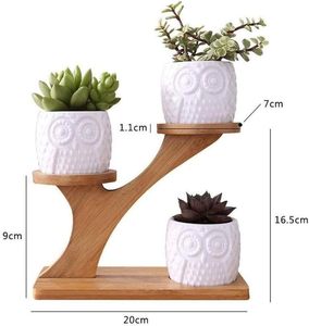 Étagère de présentation élégante à 3 niveaux <span class=keywords><strong>en</strong></span> bambou, durable et écologique, pour la maison et le <span class=keywords><strong>jardin</strong></span>, support pour plantes succulentes et petites plantes <span class=keywords><strong>en</strong></span> pot - Product Image 3