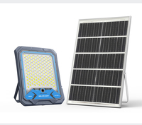 Projecteurs solaires pour l'éclairage extérieur des paysages, allées de jardin étanches, parkings, lampes à capteur de mouvement