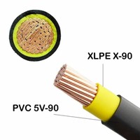Cable de Alimentación Subterráneo de Cobre PVC Tipo TTU 2000V 600V 8AWG 2AWG 1*50.0 mm Industrial CN