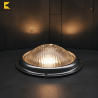 Éclairage LED encastré avec projecteur anti-éblouissement en verre, lentille convexe LED COB à vendre