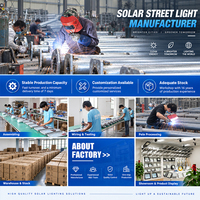 Lampes solaires de jardin et lampadaires extérieurs à alimentation solaire, 6000K, IP65, 30W-200W, 51CM-68CM, boîtier ABS, fourniture d'usine