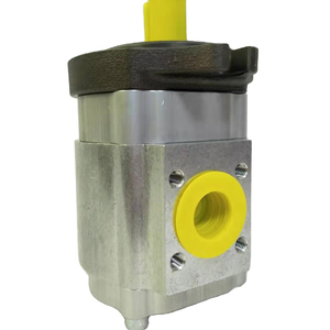 Bomba Hidráulica Original Serie EIPS2 EIPS2-019RA04-11 S111 Bomba de Engranajes para Máquina de Moldeo por Inyección - Product Image 2