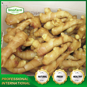 SINOFARM FOOD 2018 new crop <strong>fresh</strong> old <strong>ginger</strong> whole prices exporting to overseas brc  global - Product Image 2