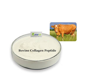 Polvere bovina del collagene del collagene del bovino polvere del <span class=keywords><strong>Peptide</strong></span> del collagene idrolizzato polvere bovina del collagene - Product Image 1