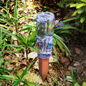 Cerámica terracota automática codorniz waterer planta-perfecto para <span class=keywords><strong>vacaciones</strong></span> planta - Product Image 6