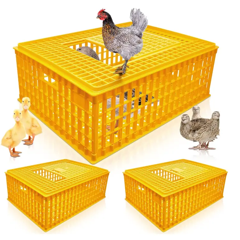 Poultry Carrier Crate Plastic Chicken Transport Cage Chicken Carrier Travel Crate Basket Box for Poultry Bird Duck Goose,