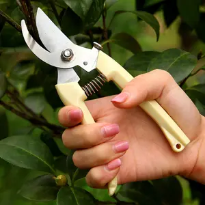 Garden Tools Metal Floral Pruning Garden Scissors Multi-Functional Pruning Scissors