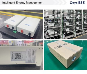 Batterie SE-F5 Deye ESS 51.2V 100Ah 5KW 5,12 kwh montage mural Lifepo4 Deye système solaire batterie stockage deye batterie - Product Image 6