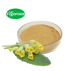 High quality Haccp free sample cowslip primrose extract powder organic primula veris extract for health