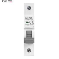 GYM9H-125-1P 125A AC Mini MCB Elektriksel Kalıplanmış Kutulu Ark Arıza Devre Kesici 10KA 400V 50/60Hz C/D Eğrisi