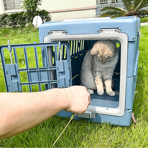 Caisse pour animaux de compagnie durable jaune bleu résistant à l'eau boîte pour chien en plastique chat transporteur à l'extérieur - Product Image 2