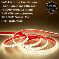 Bande LED flexible en silicone intégral 24V 12V 10mm 2835 80RA+ IP67 pour intérieur/extérieur Blanc 3000K 4000K 6000K 5m Ruban LED