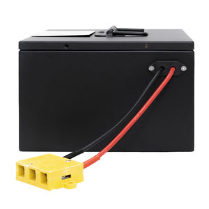 High Power E Riksja Batterij Lifepo4 Batterij Productie Batterij Lithium Pack - Product Image 5