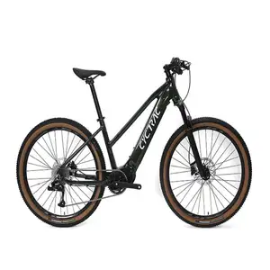 Bicicleta de montanha elétrica Speed-48V350W10A (36V350W13A) mtb 10 velocidades, baixo MOQ, bicicleta elétrica de montanha