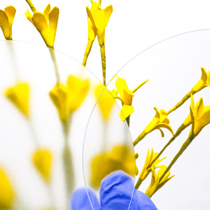 5 ''x 5'' laboratorio dentale morbido duro ortodontico stecca fermo dentaria fetta materiali monouso sottovuoto formatura foglio - Product Image 1