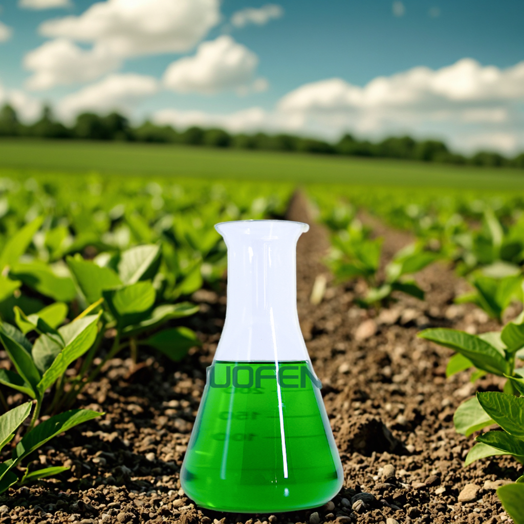 Seaweed Extract Foliar Fertilizer Manufacturer for Berries