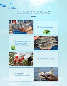 高品質の飼料添加物魚エビカニ貝などの動物のための体の免疫力を高める粉末