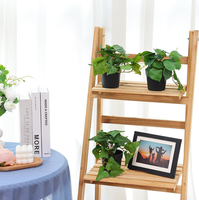 2025 nouveau produit plante artificielle en pot Monstera Aromatica bonsaï plantes pour bureau à domicile ornements de bureau