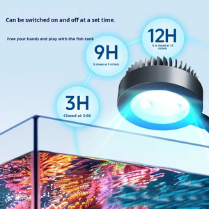 Riff <span class=keywords><strong>Aquarium</strong></span> LED-verlichting met volledig spectrum & timer voor koraal LPS/SPS, <span class=keywords><strong>aquarium</strong></span> clip-on lamp met lens, 5.2W zoutwaterverlichting - Product Image 5