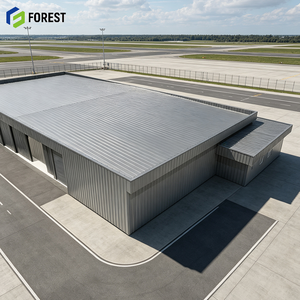 Hangar Modular Prefabricado de Acero Estructural para Aviones, Nave Industrial de Gran Altura y Espacio Libre para Instalaciones Aeronáuticas - Product Image 1