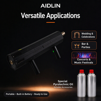 Pistolet à flamme portatif 200W DMX512, lance-flammes réel pour DJ, club, concert, mariage, effet de scène