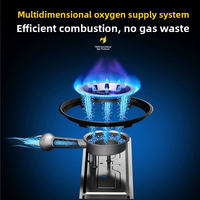 Réchaud à gaz portable en acier inoxydable pour extérieur, pliable, pour 3-4 personnes, pour camping, pique-niques, barbecue, avec fonction automatique et compartiment séparé
