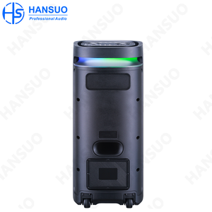 Haut-parleur de fête double 10 pouces Media100W haute puissance HS-TD01035 - Product Image 4