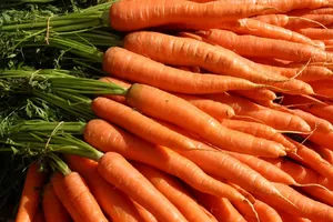 El polvo de betacaroteno es un carotenoide de color naranja vibrante, soluble en grasa y de origen vegetal, utilizado principalmente como suplemento nutricional. - Product Image 4