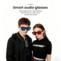 Lunettes Intelligentes Tendance à Verres Électrochromiques, Contrôle Vocal/Tactile, Traduction IA, Appels, Recharge Magnétique, Monture en Plastique et Titane