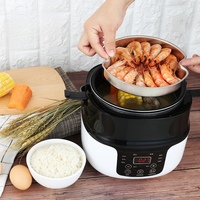 Mini cuiseur à riz 12V 24V pour voiture et camion, machine à soupe et porridge, cuiseur vapeur alimentaire, boîte à repas chauffante électrique, cuiseur vapeur pour repas