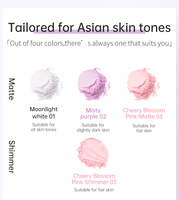 Poudre fixante libre sans talc de haute qualité avec correcteur, contrôle du sébum et fini mat longue tenue - Maquillage visage marque privée