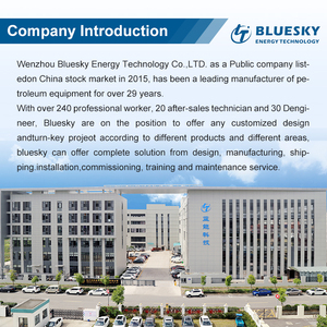 Attrezzatura per Stazioni di Servizio Gas con Cilindri a Cascata per Stoccaggio CNG - Product Image 5