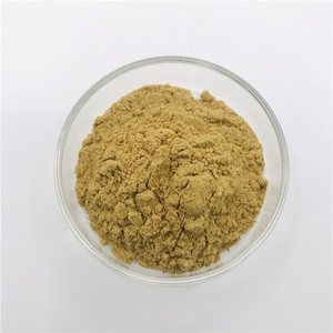 Fouet de cerf Extrait 10:1 Pénis et Testis <span class=keywords><strong>Cervi</strong></span> poudre - Product Image 3