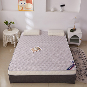 Materasso in lattice in affitto imbottito per casa doppio materassino ispessito coprimaterasso per studente dormitorio <span class=keywords><strong>trapunta</strong></span> singola - Product Image 4