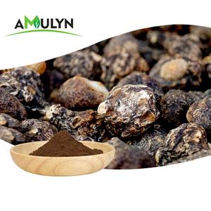 Top Qualité Nouveau Lot 10:1 Maca Noire Maca Noir Maca Poudre Pour La Fabrication <span class=keywords><strong>De</strong></span> Capsules - Product Image 1