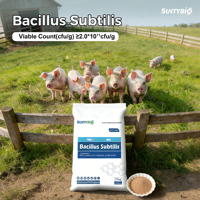 Bacillus Subtilis Pour L'aquaculture De Purification De L'eau