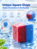 Tablet Pembersih Toilet OEM Kustom Grosir, Aroma Ganda, Dua Kubus, Tahan Lama