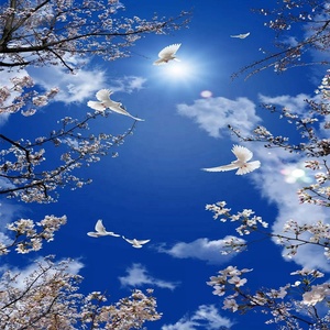 Ấn độ giá rẻ Giá Thiết kế phổ biến thiết kế mái nhà thị trường PVC Stretch Trần phim trần giả - Product Image 5