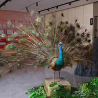 Paon animatronique grandeur nature personnalisé en usine, mouvement des plumes, zoo, musée, parc d'aventure, garderie, centre commercial, aéroport