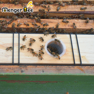 Distributeur d'eau en plastique pour apiculture avec bouchon en bois couleur naturelle, mangeoire pour ruche, capacité 6,5 L, échelle Menger Bee BF-12, non assemblé - Product Image 2