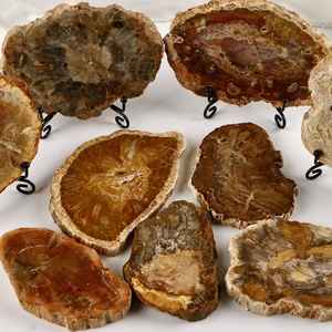 Wholesale Shammah Crystal Natural Petrified <b>Wood</b> <b>Slice</b> Slab Quartz Crystal Mineral Specimen Healing Feng Shui Polished - Product Image 3