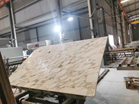 Nouvelles dalles de marbre blanc Calacatta Gold moderne d'Italie, pour sol et mur de la maison