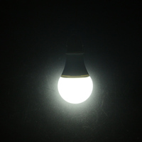 Ampoule LED extérieure d'approvisionnement d'usine 12V DC 3W-15W 2835SMD 24V 48V AC DC 3000K RoHS certifié pour un usage résidentiel 1.4 mètres