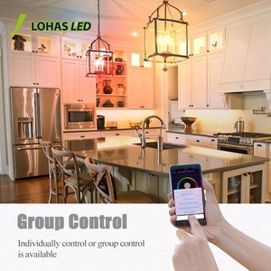 Lohas A19 A60 Led nhà thông minh ánh sáng bóng đèn RGB E26 E27 B22 9 wát thay đổi độ sáng tương thích thông minh ánh sáng bóng đèn với tuya <span class=keywords><strong>Alexa</strong></span> Google - Product Image 2