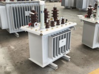 Transformateur immergé dans l'huile entièrement scellé 20kVA 30kVA 50kVA 80kVA 100kVA 200kVA 3 phases 11kV 400V 60Hz ETP S11/13 réglable sur site longue durée