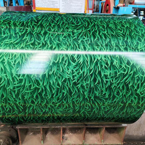 나무 페인트 보조 Pppgi Ppgl 색상 코팅 코일 가격 화이트 롤러 - Product Image 6