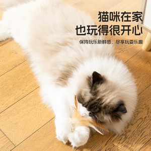 Nouveau jouet créatif pour chat, divertissant et relaxant, nouveau jouet pour taquiner les chats, accessoires de badminton. - Product Image 5